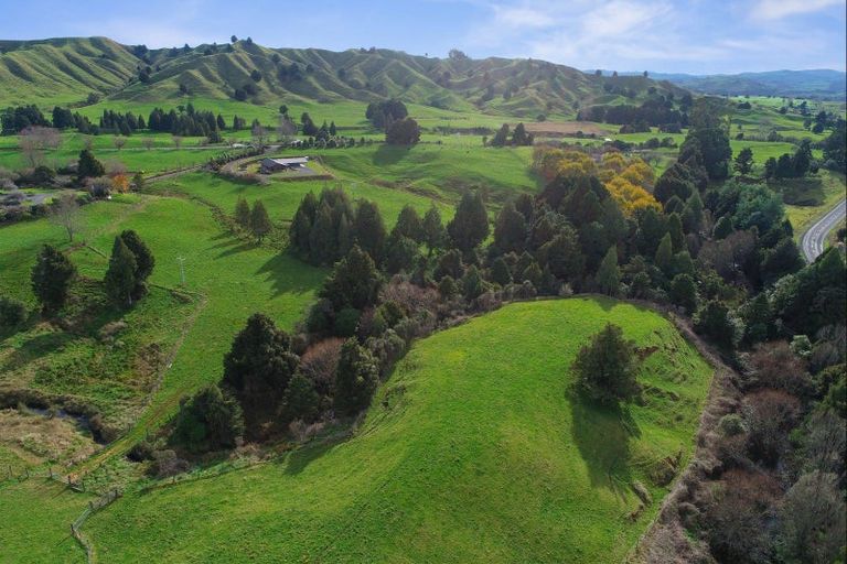 Photo of property in 39 Otapouri Road, Owhango, 3989