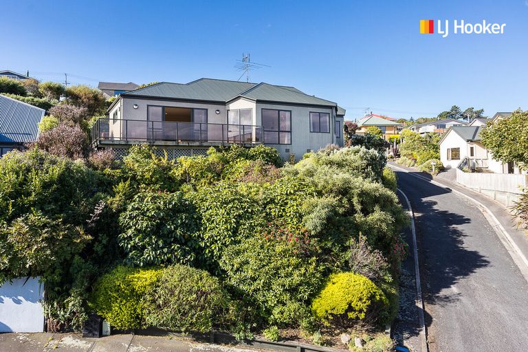 Photo of property in 41 Moodie Street, Shiel Hill, Dunedin, 9013