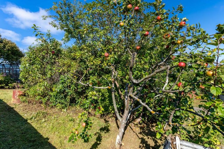 Photo of property in 35 Panmure Avenue, Calton Hill, Dunedin, 9012