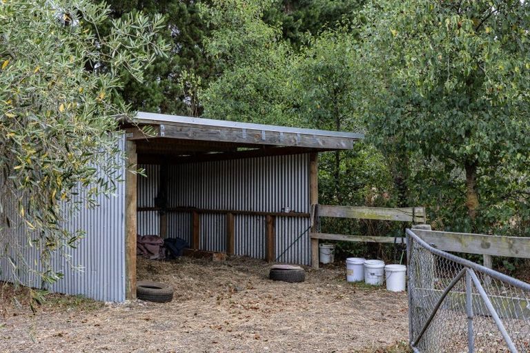 Photo of property in 179 Racecourse Road, Amberley, 7482