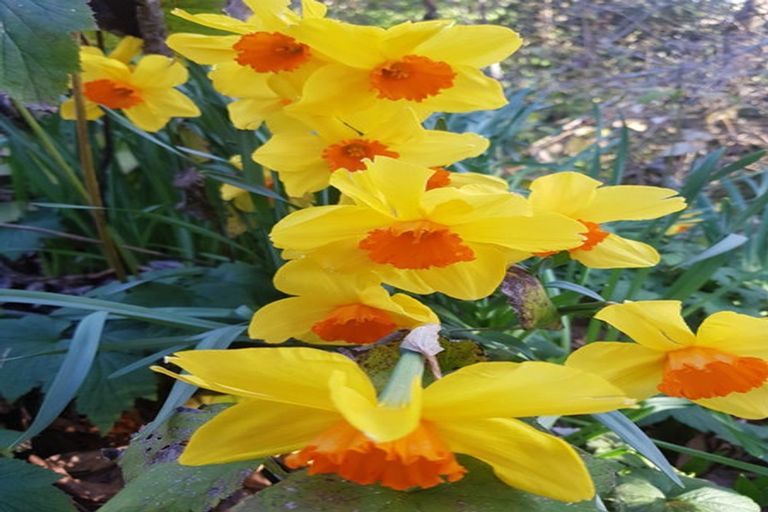 Photo of property in 38 Grammar Street, Kimbolton, 4777