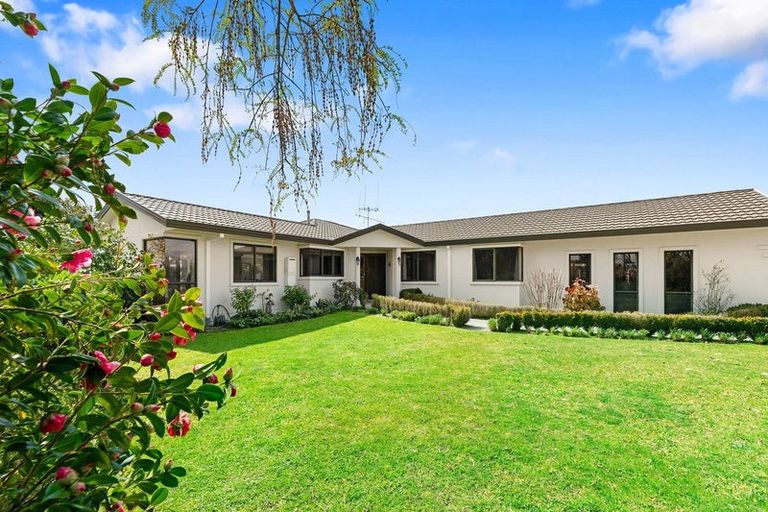 Photo of property in 31 Elderton Avenue, Pyes Pa, Tauranga, 3112