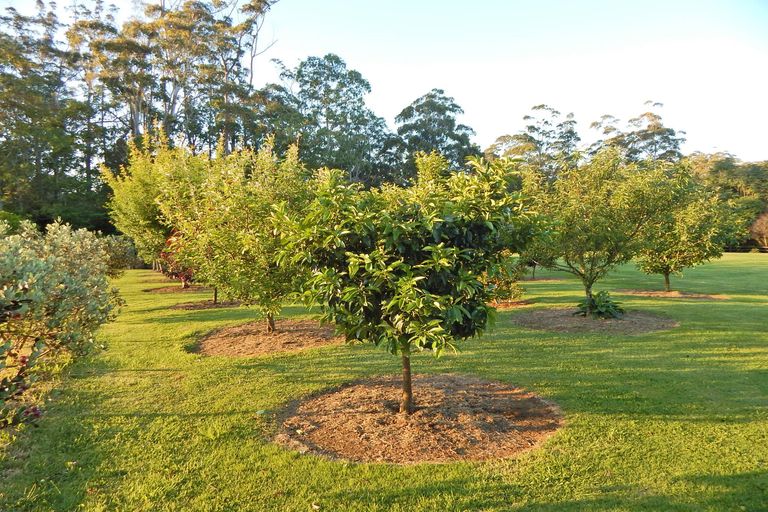 Photo of property in 71 Riverstream Drive, Waipapa, Kerikeri, 0295