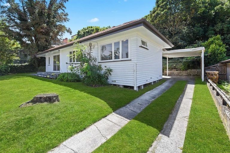 Photo of property in 24 Opoia Road, Hamilton East, Hamilton, 3216