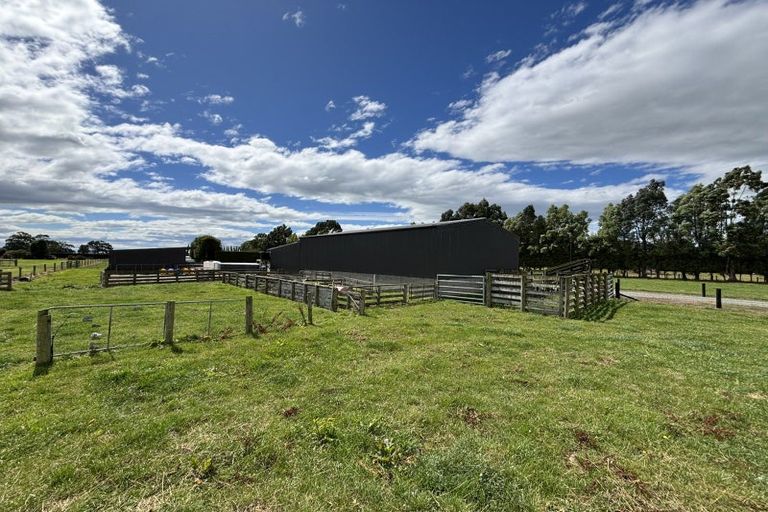 Photo of property in 64 Lochiel Bridge Road, Lochiel, Winton, 9781