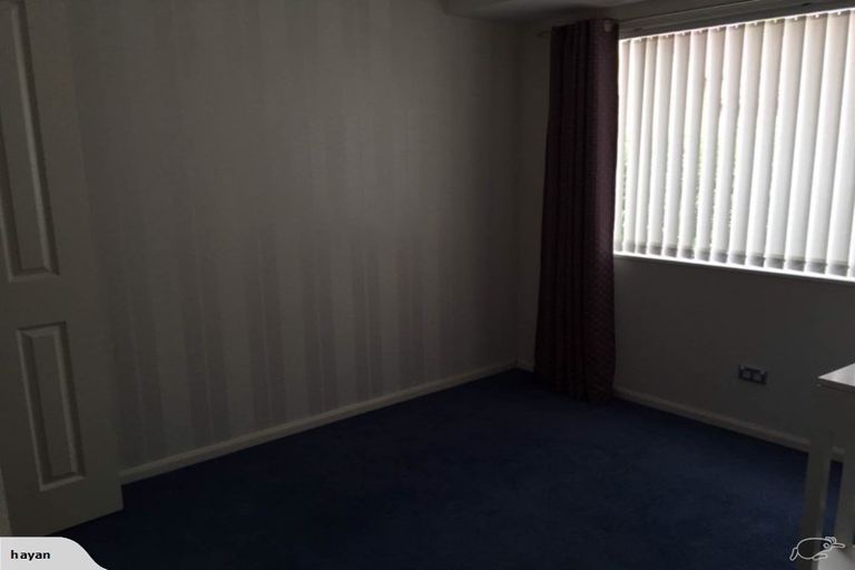 Photo of property in 16 Alexander Court, Pukekohe, 2120