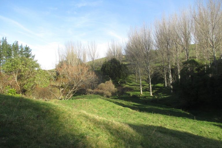 Photo of property in 258 Maunga Road, Dannevirke, 4976