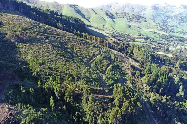 Photo of property in 90 Bachelors Road, Little River, 7591