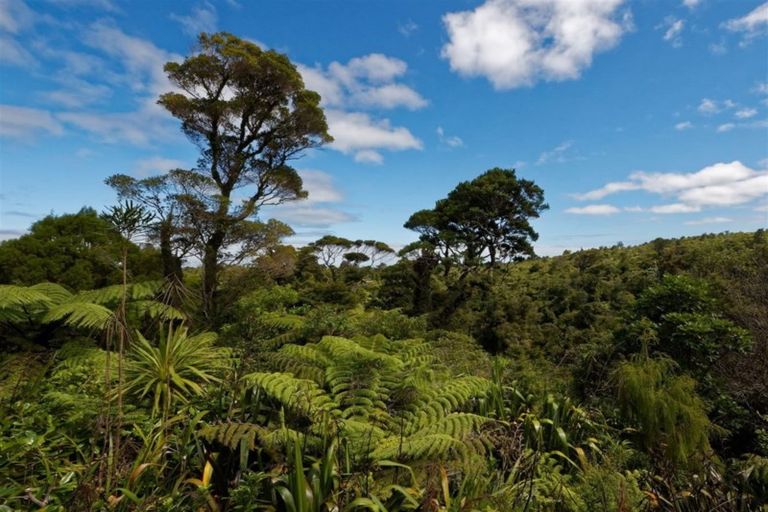 Photo of property in 256 Piha Road, Piha, New Lynn, 0772