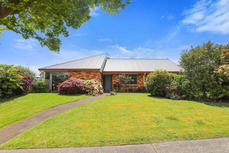 Photo of property in 6a Thelma Place, Lynmore, Rotorua, 3010