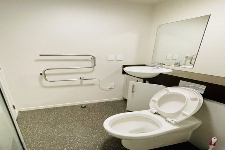 Photo of property in The Peak Apartments, 502/170 Taranaki Street, Te Aro, Wellington, 6011