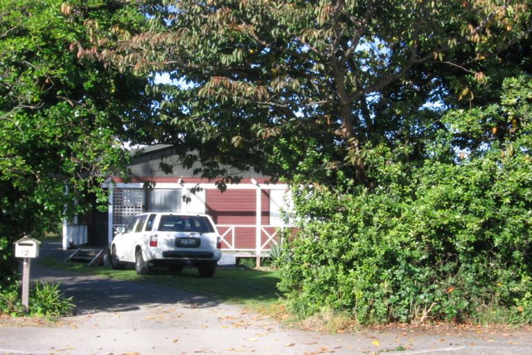 Photo of property in 12 Atmore Avenue, Otaki, 5512