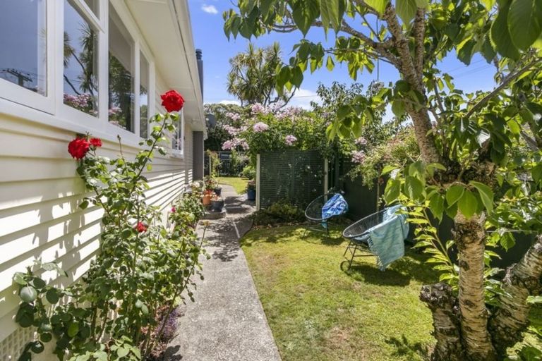 Photo of property in 41 Pukatea Street, Eastbourne, Lower Hutt, 5013