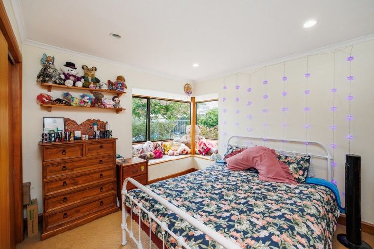 Photo of property in 221 The Terrace, Ashhurst, 4810