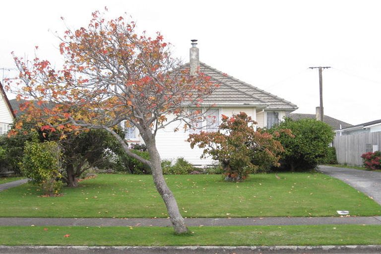 Photo of property in 53 Chapman Crescent, Naenae, Lower Hutt, 5011