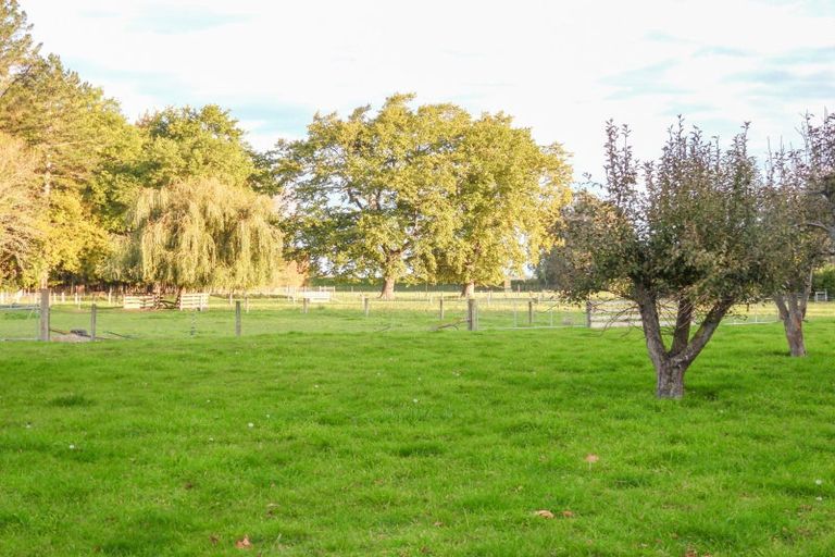 Photo of property in Ashfield, 410 Orari Station Road, Geraldine, 7992