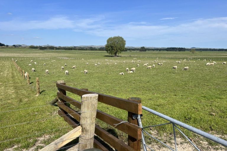 Photo of property in 96 Farm Road, Waipukurau, 4284