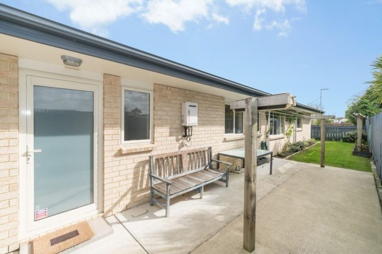 Photo of property in 6a Monckton Street, Feilding, 4702