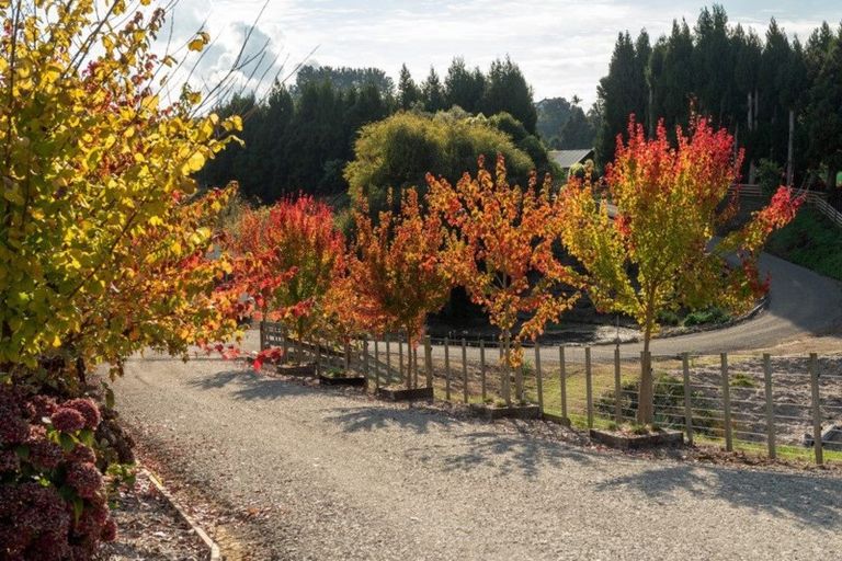 Photo of property in 25c Youngson Road, Whakamarama, Tauranga, 3180