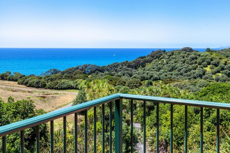 Photo of property in 444 Onemana Drive, Onemana, Whangamata, 3691