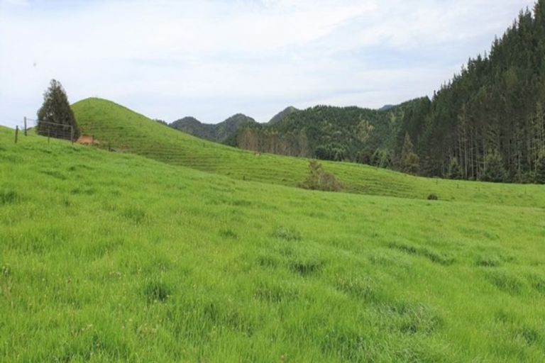 Photo of property in 72 Cogswell Road, Raglan, 3295