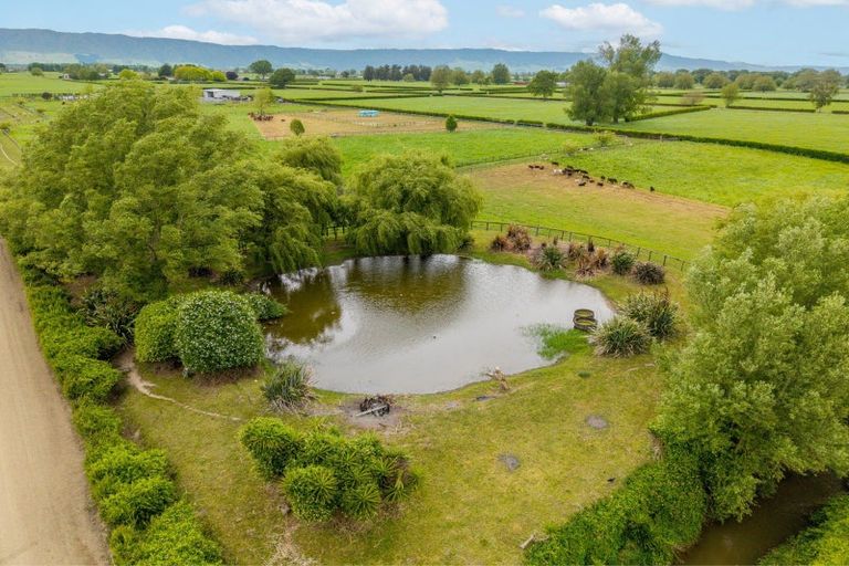 Photo of property in 1636 Alexandra Road, Waharoa, 3474