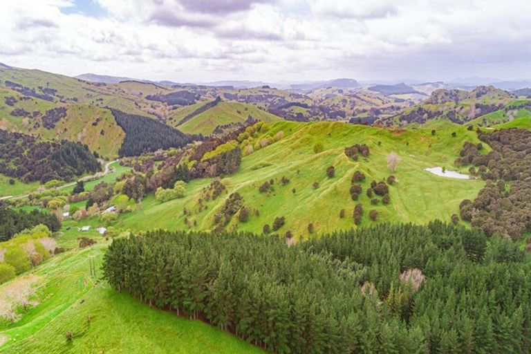 Photo of property in Castlepoint Road, Mangapakeha, Masterton, 5889