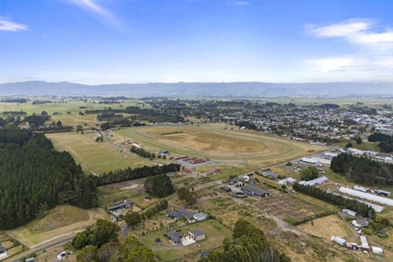 Photo of property in 104 Bergin Road, Foxton, 4814