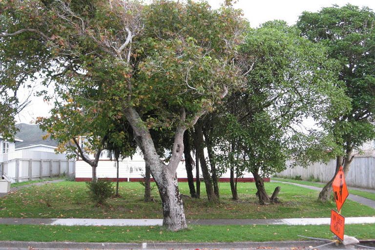 Photo of property in 51 Chapman Crescent, Naenae, Lower Hutt, 5011