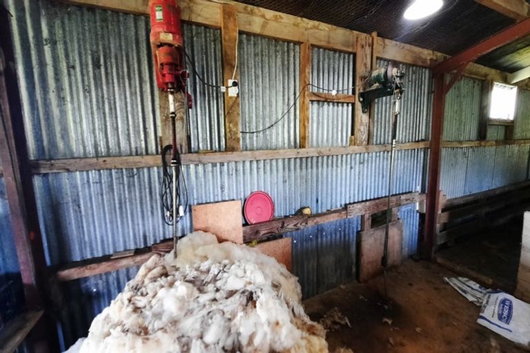 Photo of property in 183 Gunn Road, Warepa, Balclutha, 9273