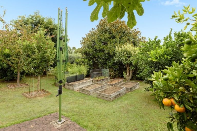 Photo of property in 16 Burns Street, Gate Pa, Tauranga, 3112