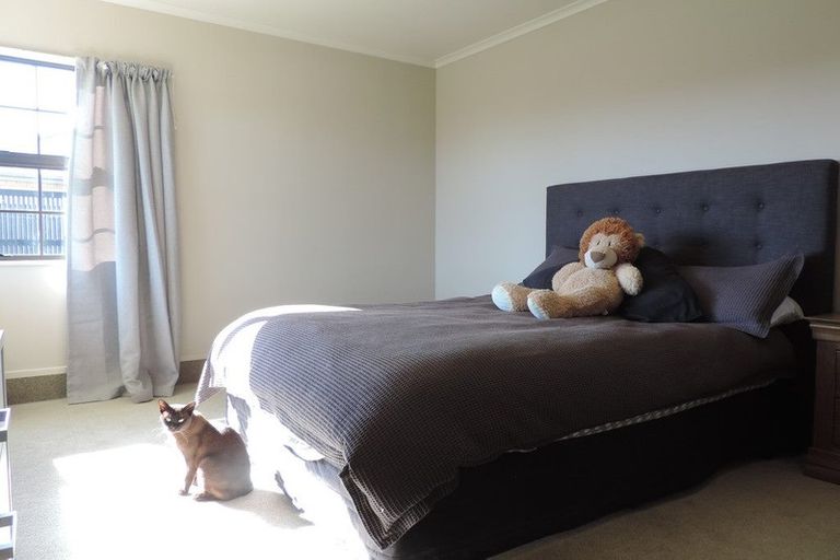 Photo of property in 26 Hampton Terrace, Matamata, 3400