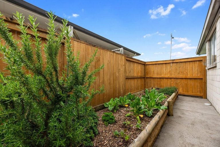 Photo of property in 24 North Bay Road, Pyes Pa, Tauranga, 3112