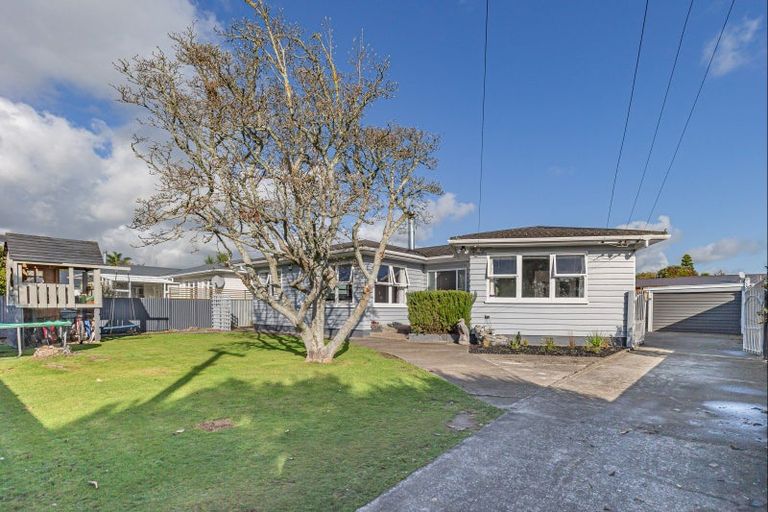 Photo of property in 11 Duke Street, Levin, 5510