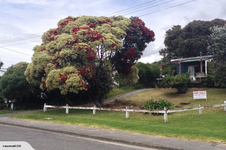 Photo of property in 53 Lupin Road, Otaki, 5512