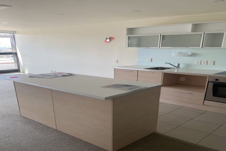 Photo of property in Luna Apartments, 1p/16 Burton Street, Grafton, Auckland, 1010