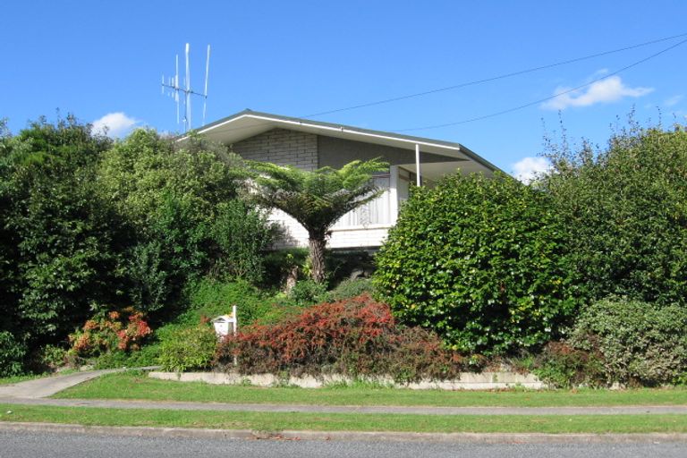 Photo of property in 6 Bent Street, Putaruru, 3411