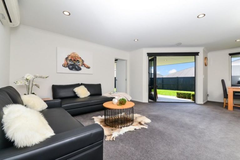 Photo of property in 10 Vantage Place, Flagstaff, Hamilton, 3210