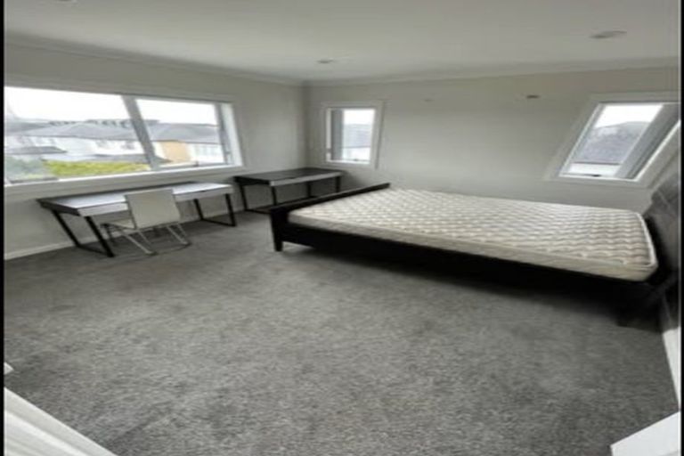 Photo of property in 20 Quattro Avenue, Flat Bush, Auckland, 2019