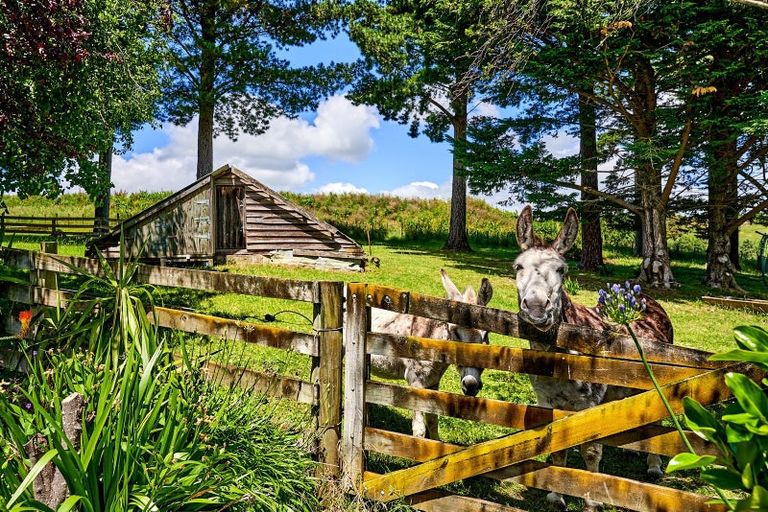 Photo of property in 8 Maungahina Road, Te Ore Ore, Masterton, 5886