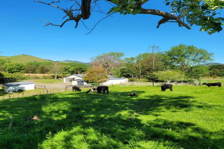 Photo of property in 590 Murray Road, Tangowahine, Dargaville, 0372
