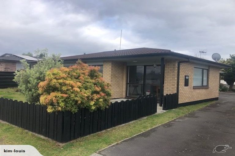 Photo of property in 21a Matavai Street, Mount Maunganui, 3116