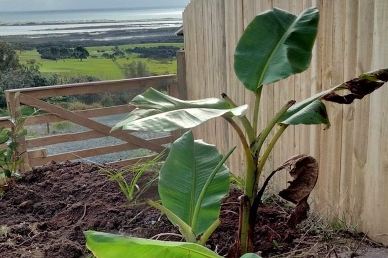 Photo of property in 70 Matai Bay Road, Karikari Peninsula, 0483