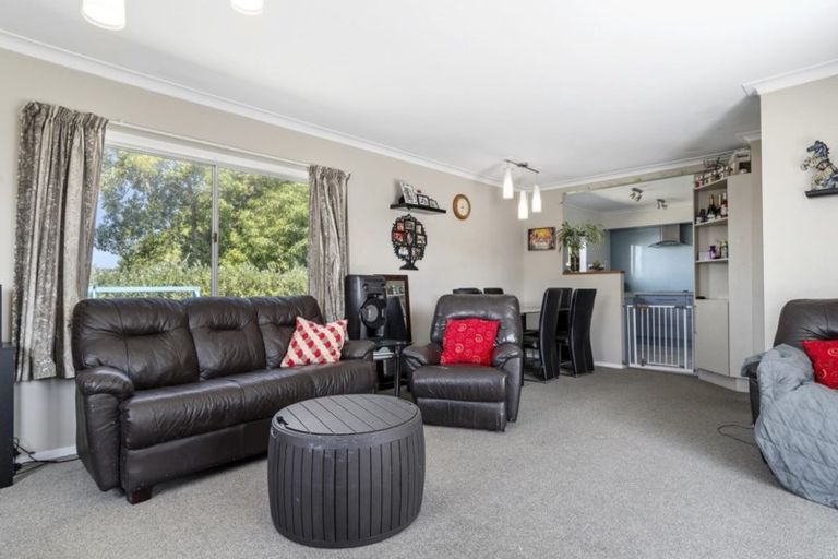 Photo of property in 102 Ridge Street, Otumoetai, Tauranga, 3110