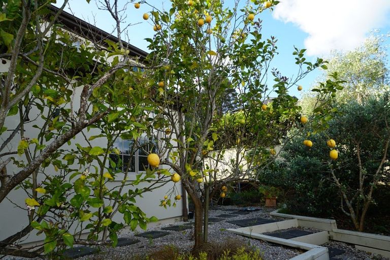 Photo of property in 24 Leburn Crescent, Flat Bush, Auckland, 2016