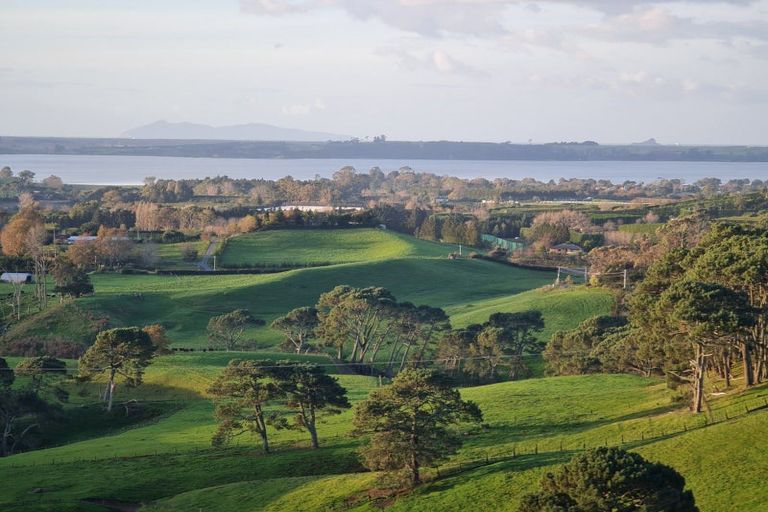 Photo of property in 163 Waipapa Block Road, Whakamarama, Tauranga, 3180