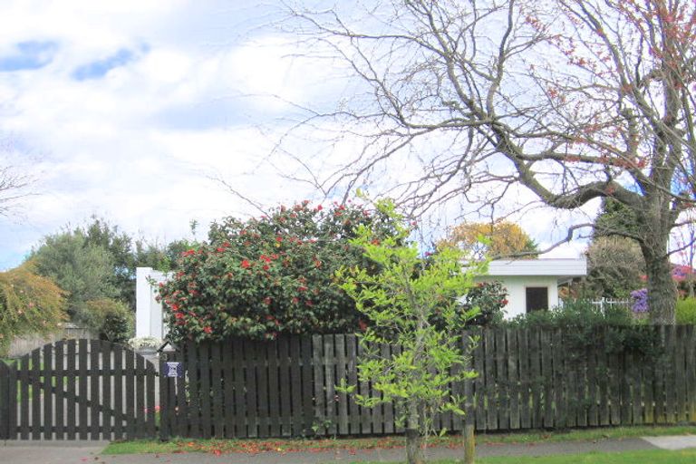 Photo of property in 63 Hinekura Avenue, Taupo, 3330