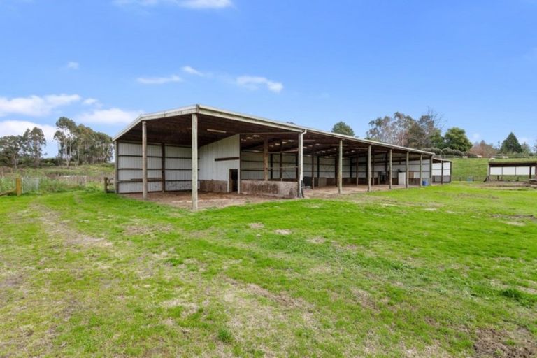 Photo of property in 131e Hogg Road, Rotoma, Whakatane, 3192