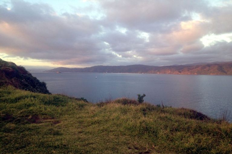 Photo of property in 66 Ludlam Street, Seatoun, Wellington, 6022