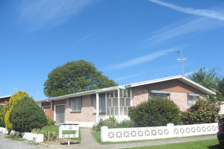 Photo of property in 43b Leefield Street, Blenheim, 7201